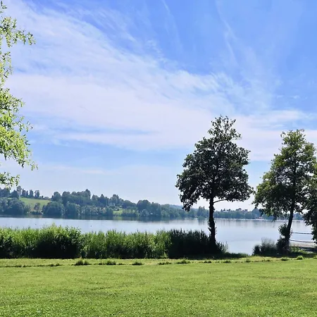 Rododendro Rosso - Happy Apartment Ispra