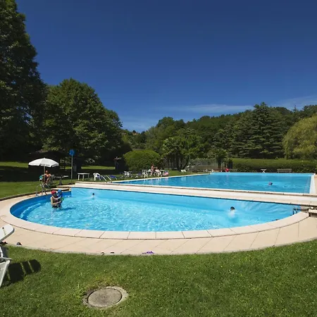 Rododendro Rosso - Happy