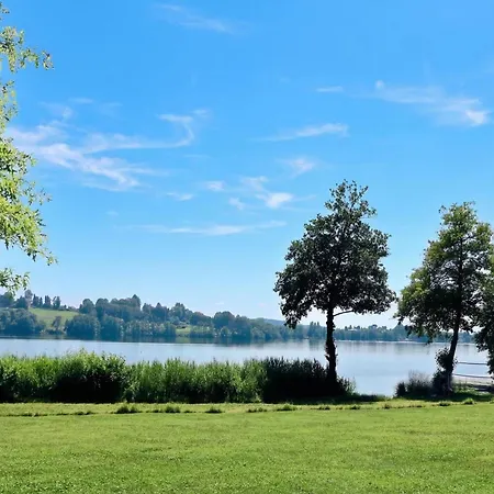 Rododendro Rosso: Duplex With Pool, Tennis And Bbq - Happy Apartment *