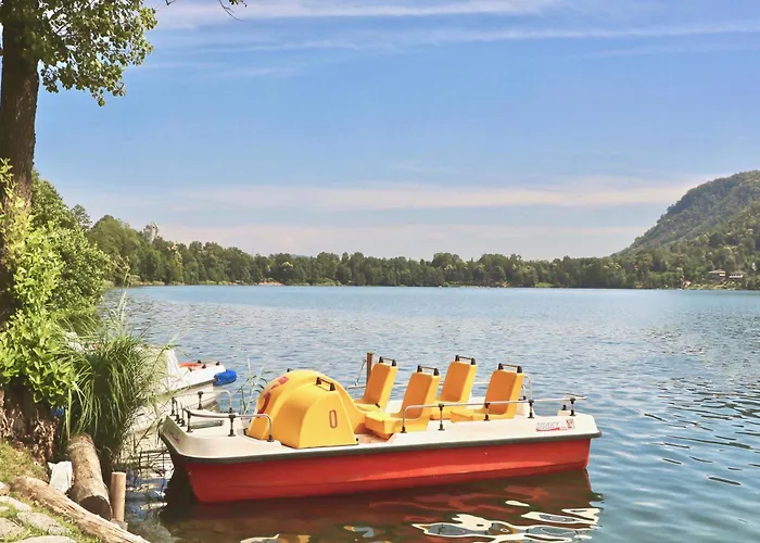 Rododendro Rosso - Happy *