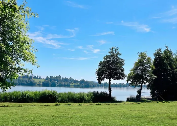 Rododendro Rosso - Happy * Ispra