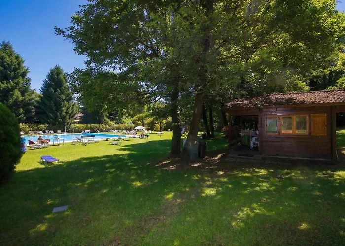 Rododendro Rosso - Happy Ispra